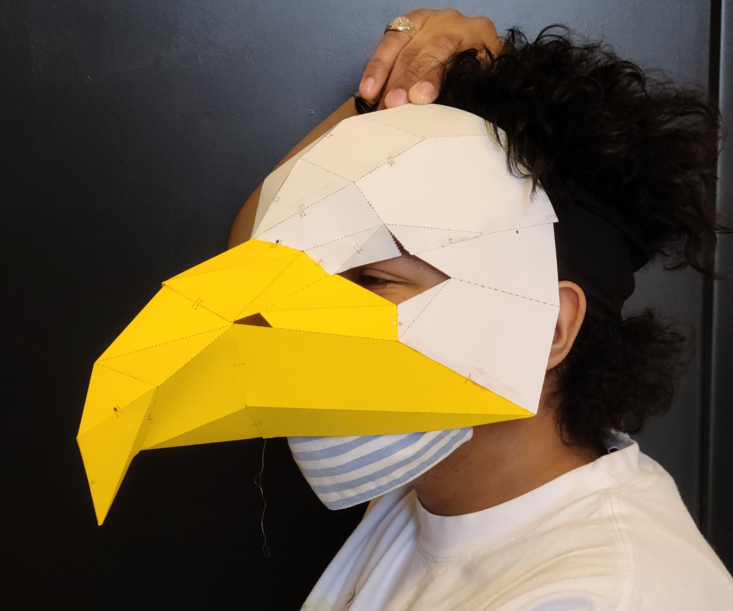 Cyborg Crafts: Sense Direction Like a Bird: Sensory Extension Mask
