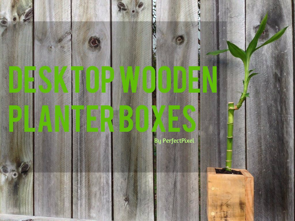 Pallet Desktop Planters