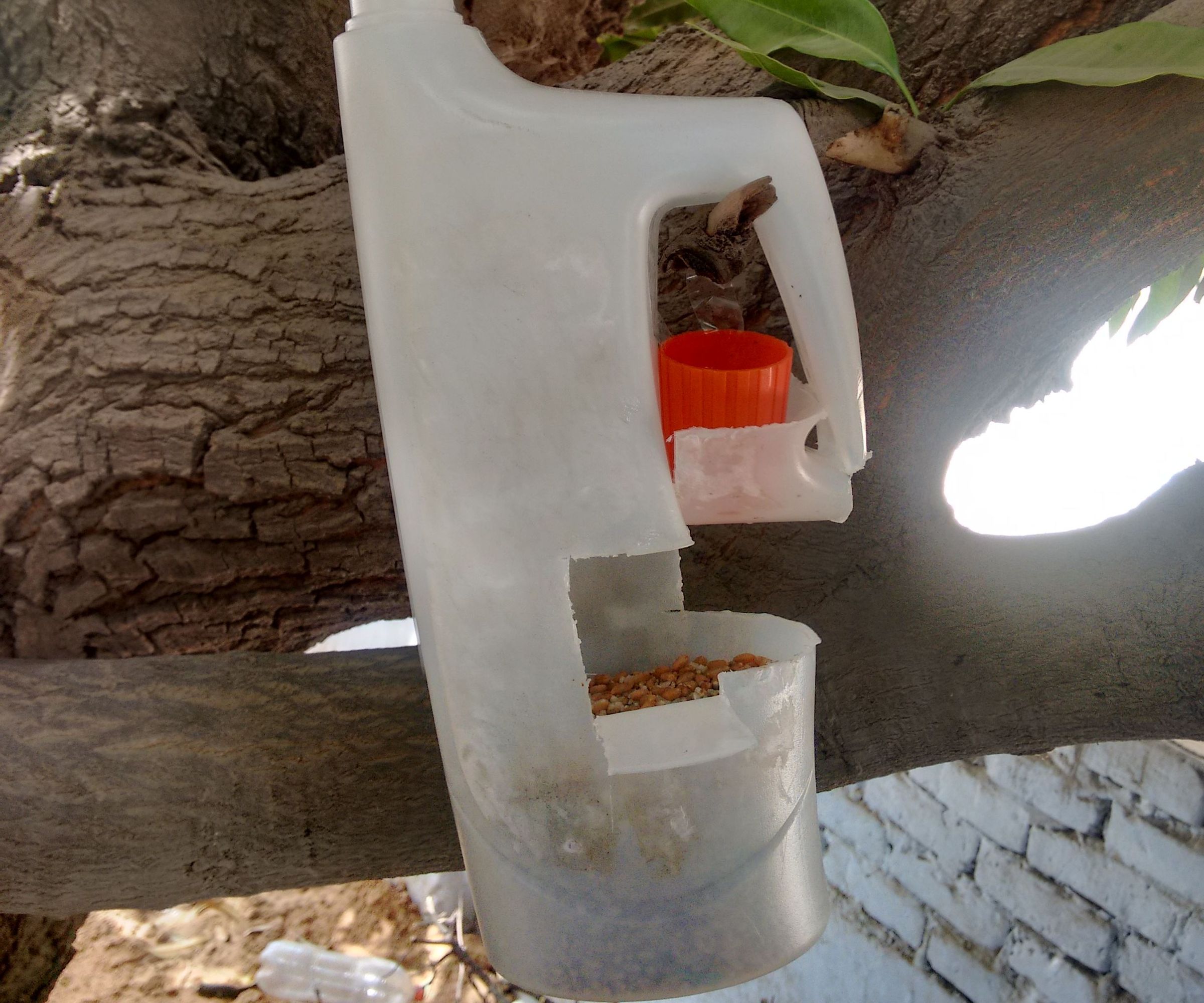 DIY Bird Feeder From Recycled Milk Jug 