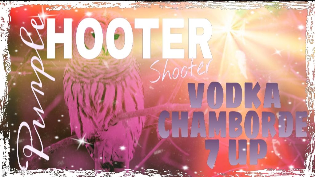 HOW TO MAKE a PURPLE HOOTER SHOOTER