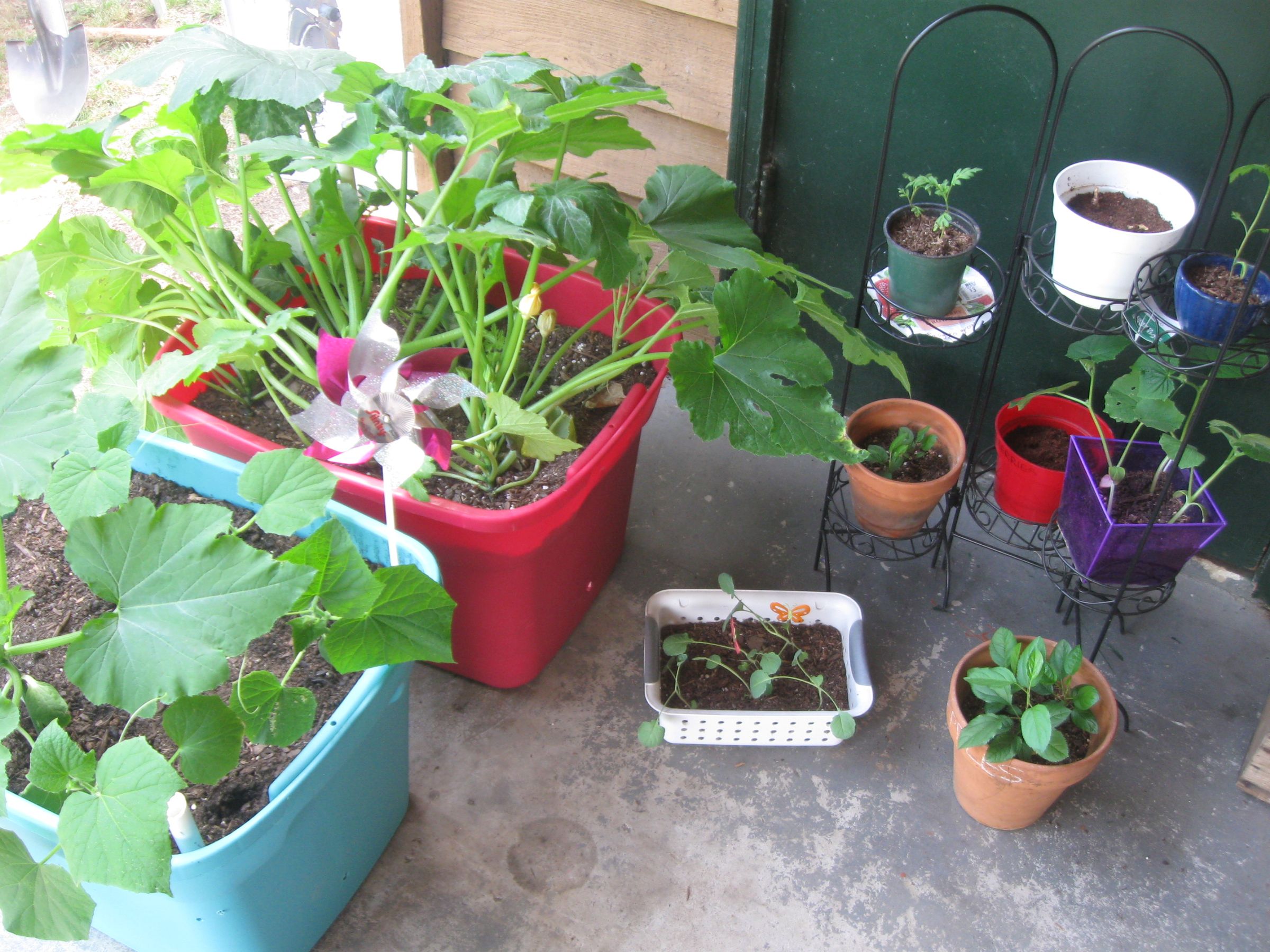 Tetra Hydro Box Garden