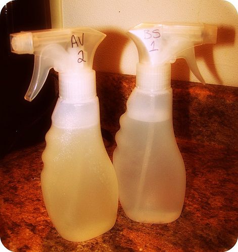 Make Your Own Shampoo & Conditioner