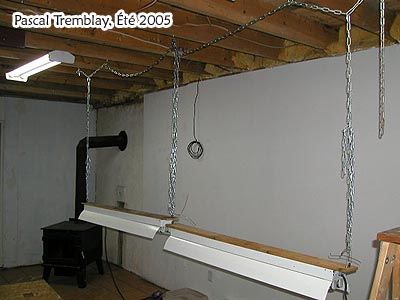 Seedling Table and Growing Lamps - Grow Seedlings Table Idea