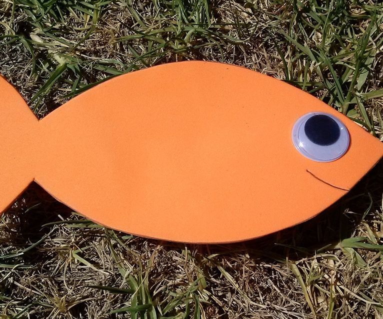 Foam Fish