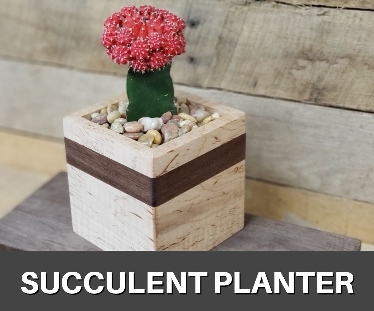 How to Make a Succulent Planter