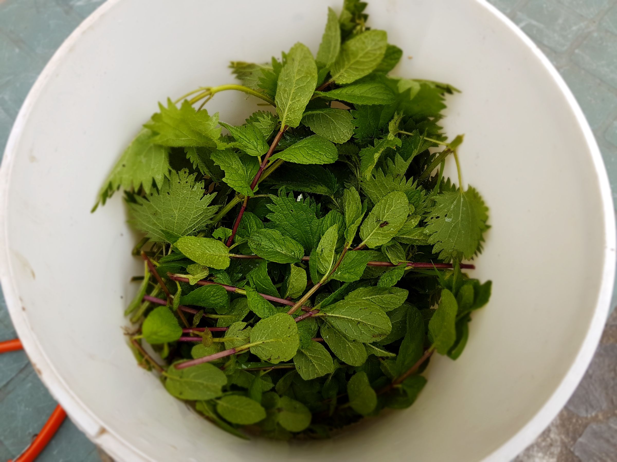 Organic Care of Your Garden Manure, Maceration and Decoction (incl