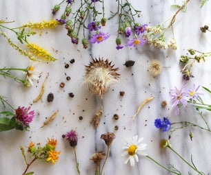 how to make zero the ghost dog How to Gather Wildflower Seeds