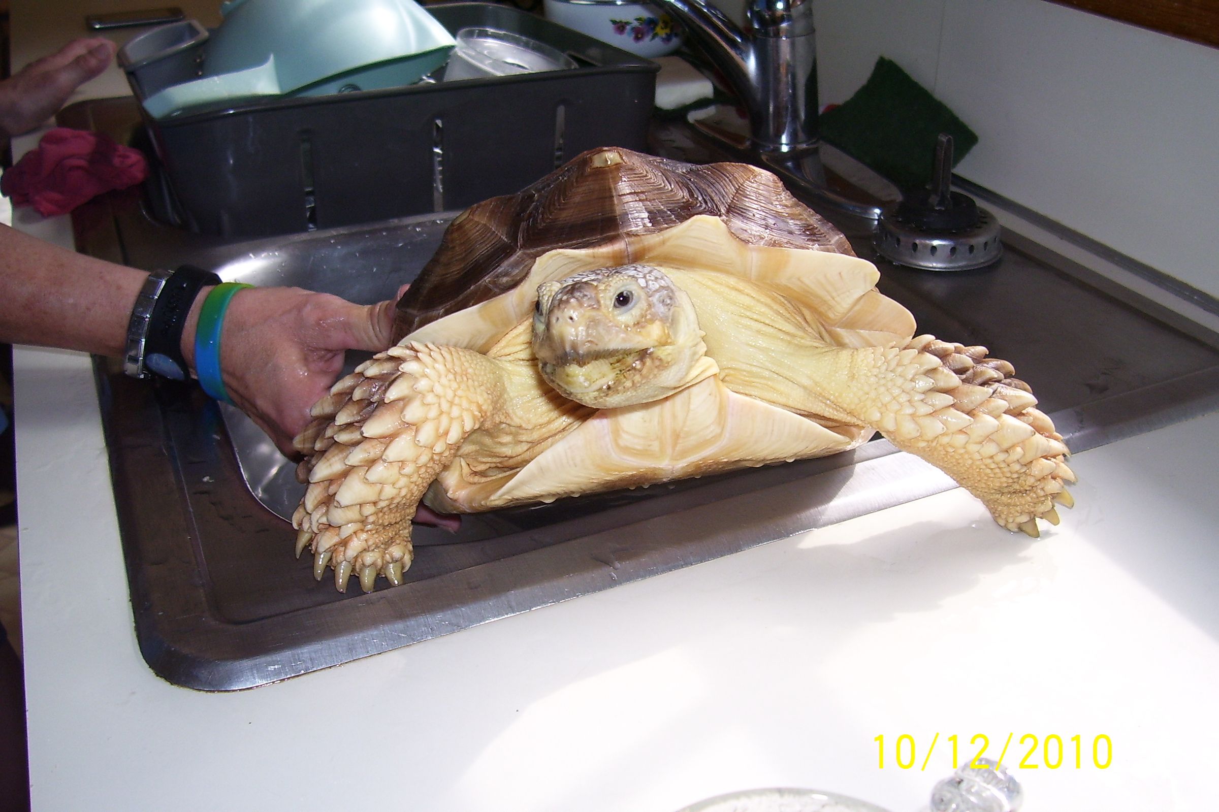 Runner Man 18 Months