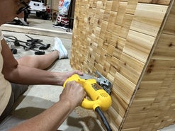 Back to the Butterfly House