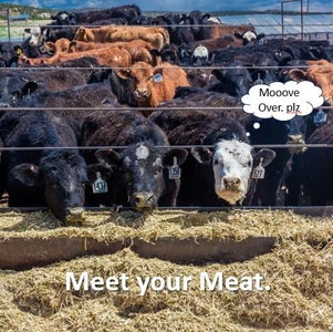 The Mission: Expose BigFarma