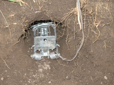 How to Trap a Gopher : 7 Steps - Instructables