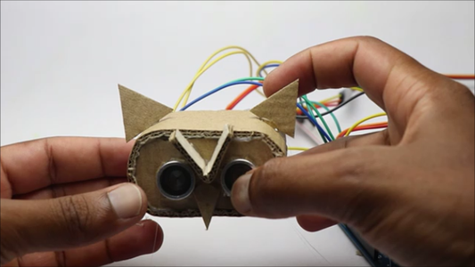 Making the Owl