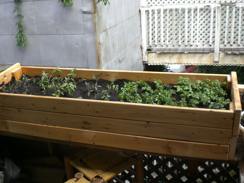 Build a Plant Box From an Old Futon Base