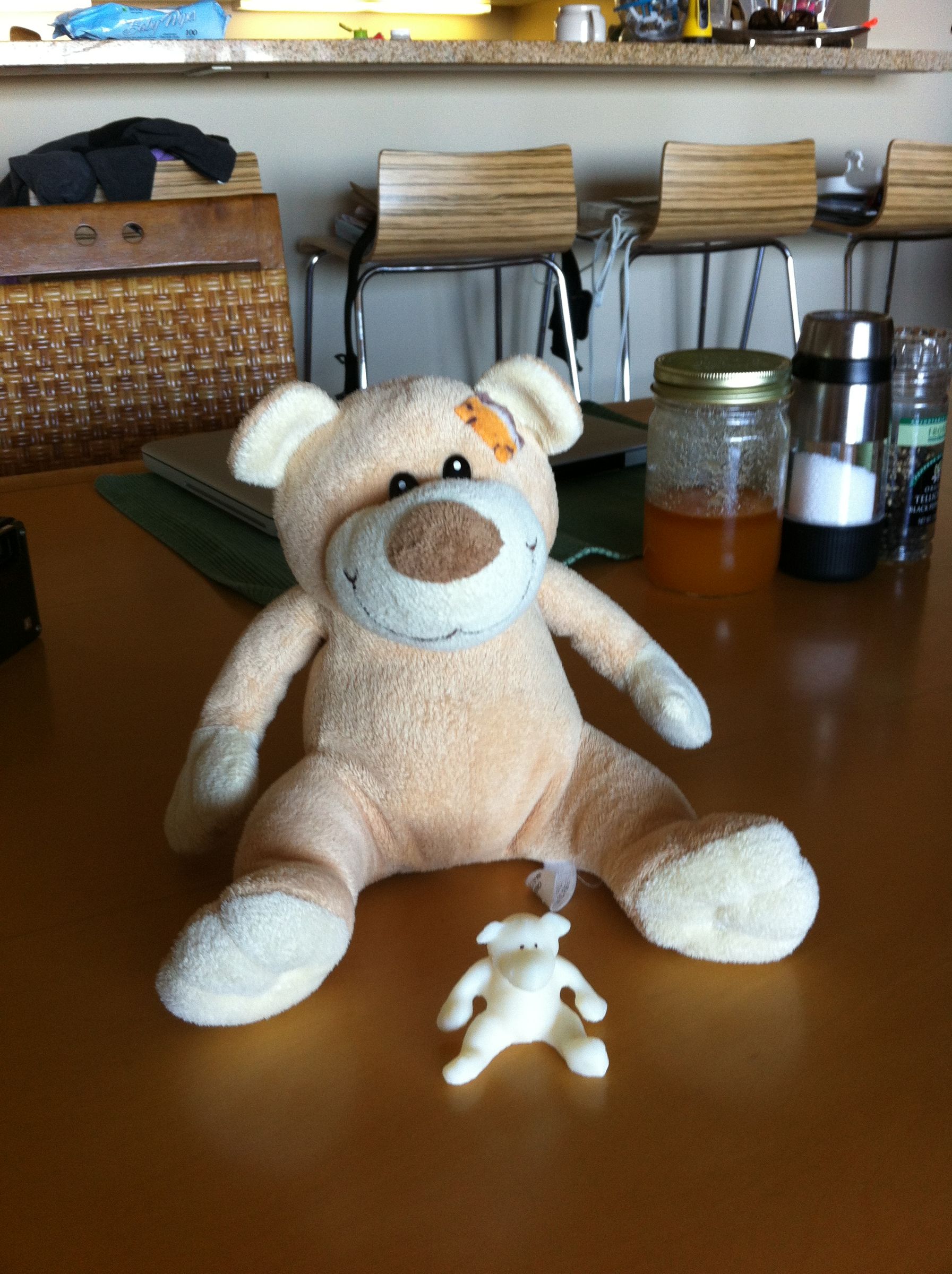 Making a 3D Print of a Real Object Using 123D Catch and Meshmixer