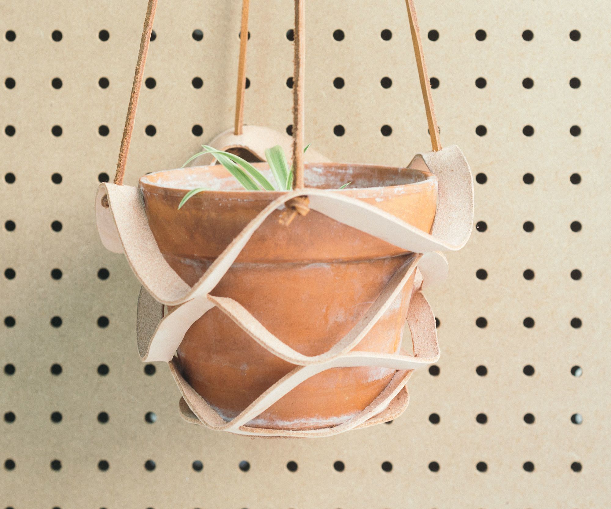 Leather Plant Hanger