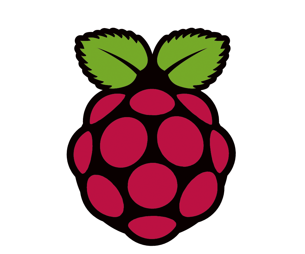 RASPBERRY PI Pi OBJECT DETECTION WITH MULTIPLE CAMERA'S