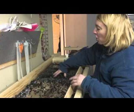 Vermicompost Worm Sorting Machine
