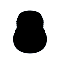 download {{ file.name }}