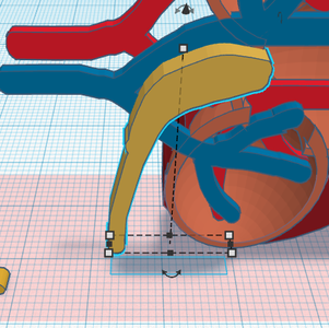 Adding Ureter #laststep