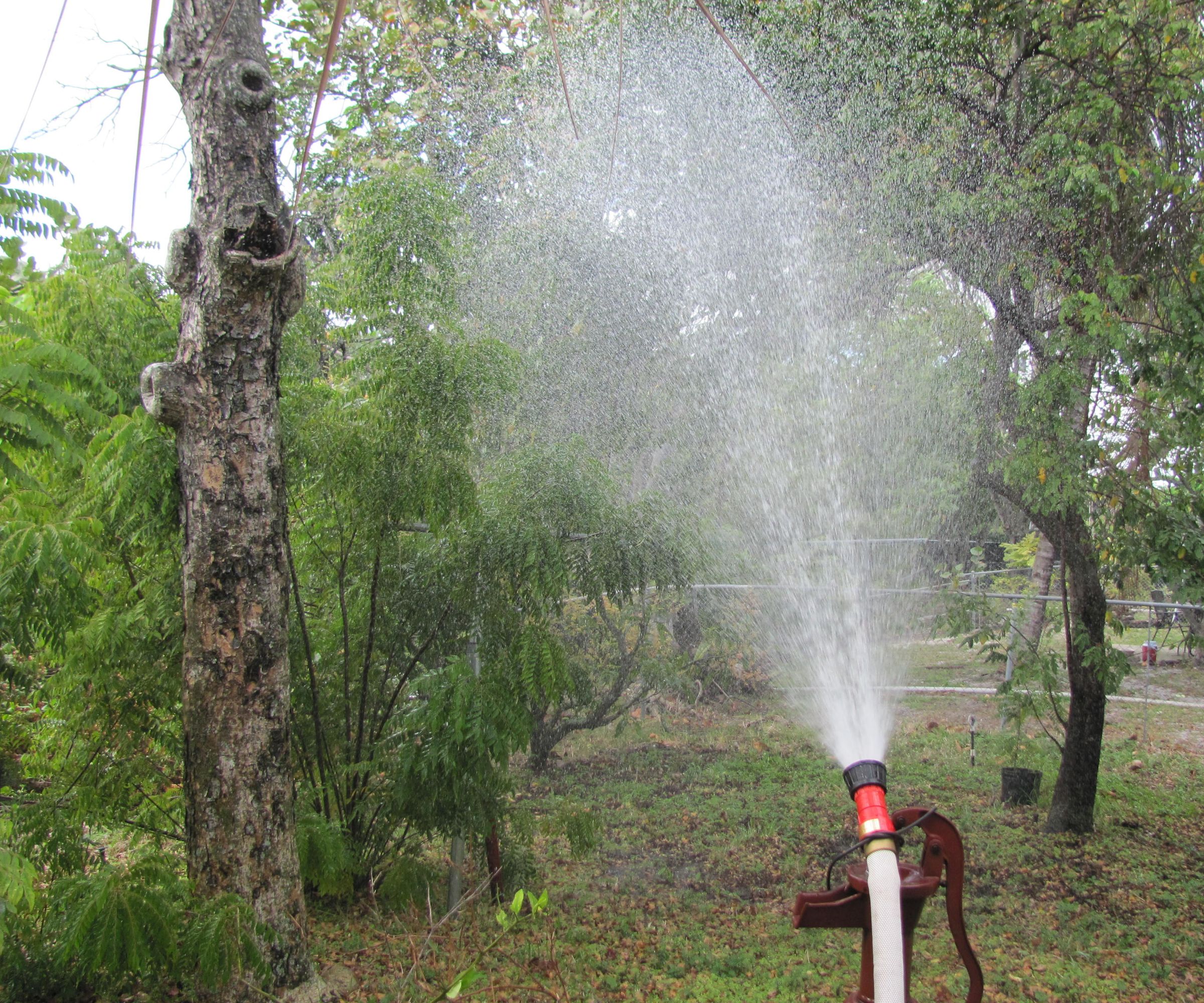 Water Your Lawn in a Hurry
