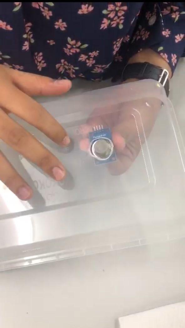 Prepare the Container