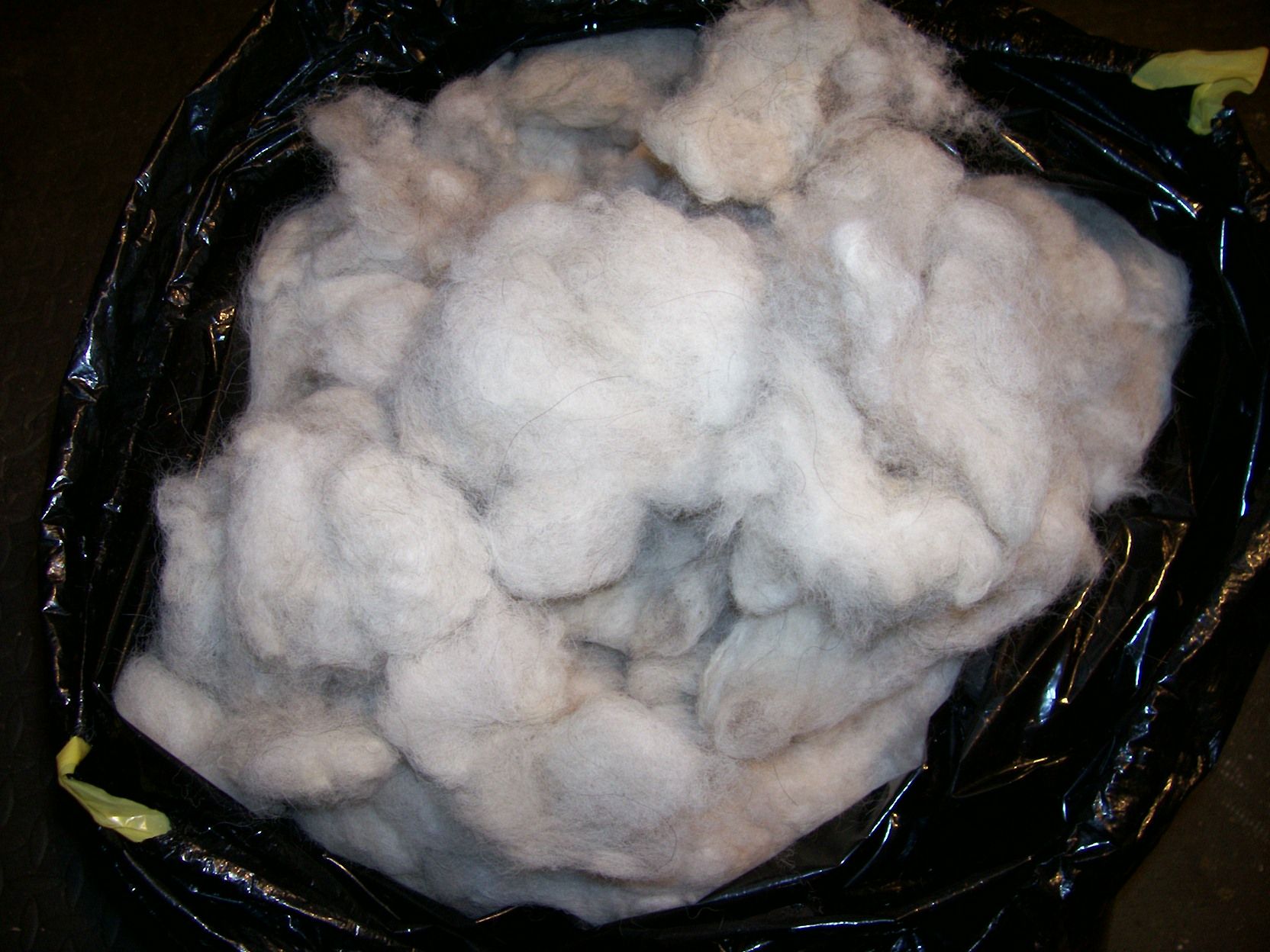 Wash Dog Fur for Spinning