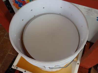 Cider From Scratch : 5 Steps (with Pictures) - Instructables