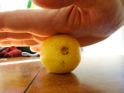 5 Great Lemon Tricks : 5 Steps (with Pictures) - Instructables