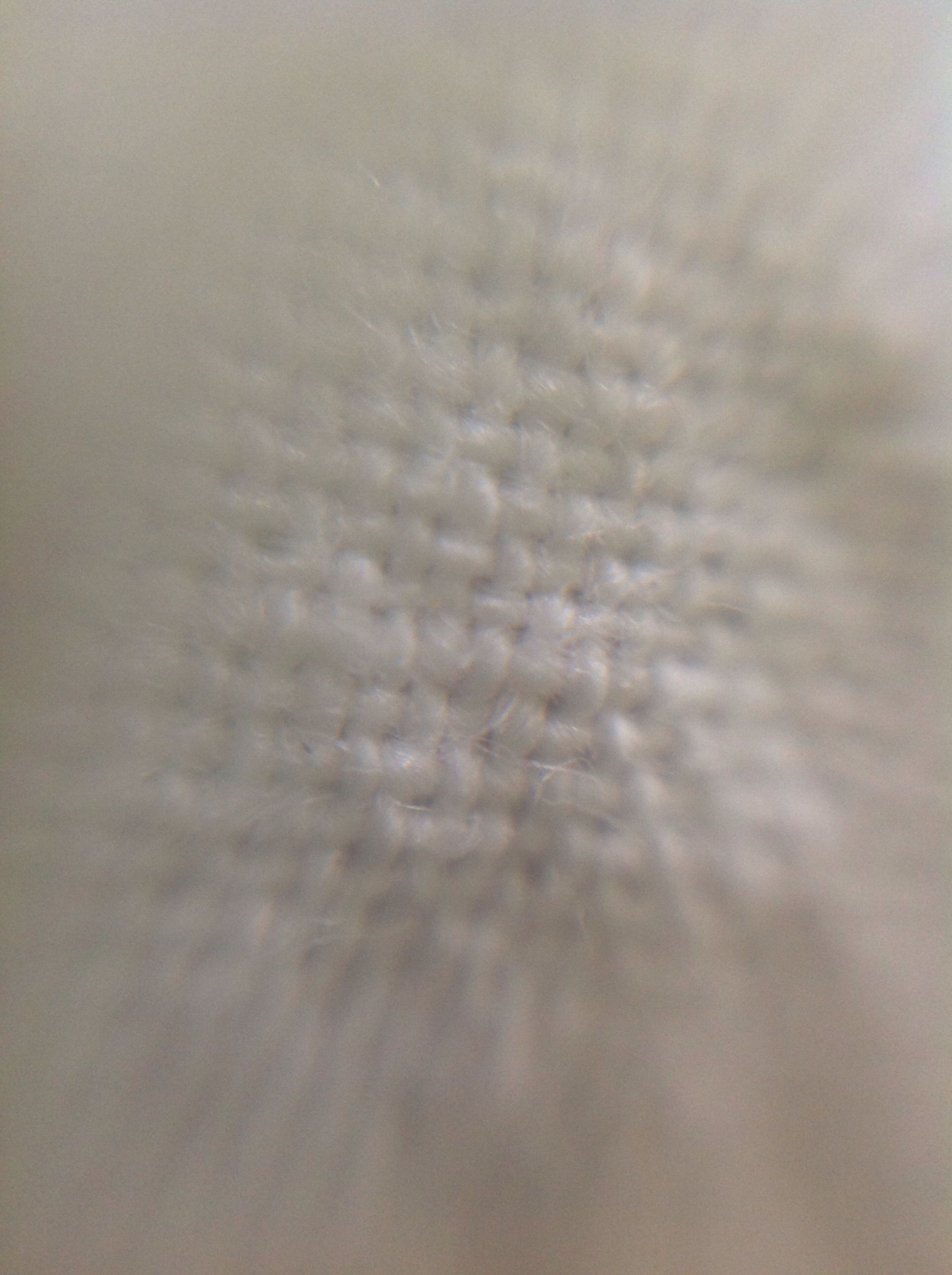 DIY Macro Lens For Your Cam 