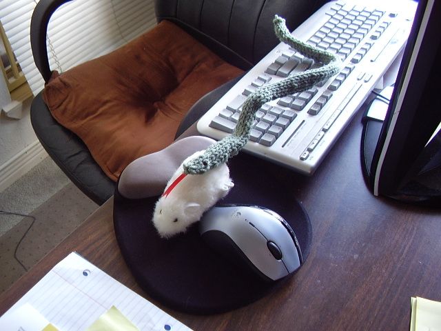 Bendy Snake