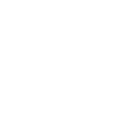 download {{ file.name }}