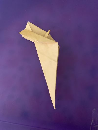 Origami Rat : 27 Steps - Instructables