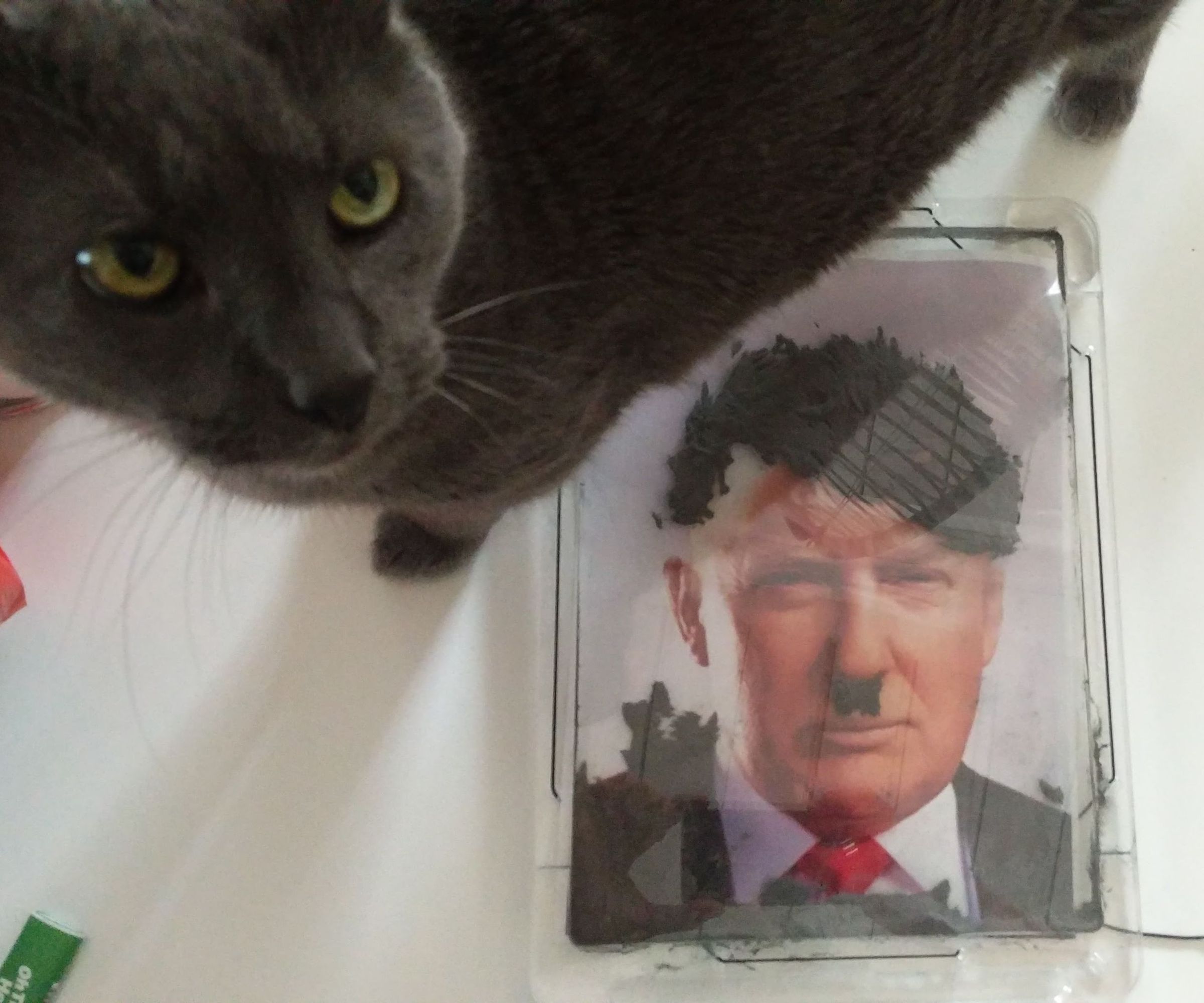 Customizeable Wooly Willy