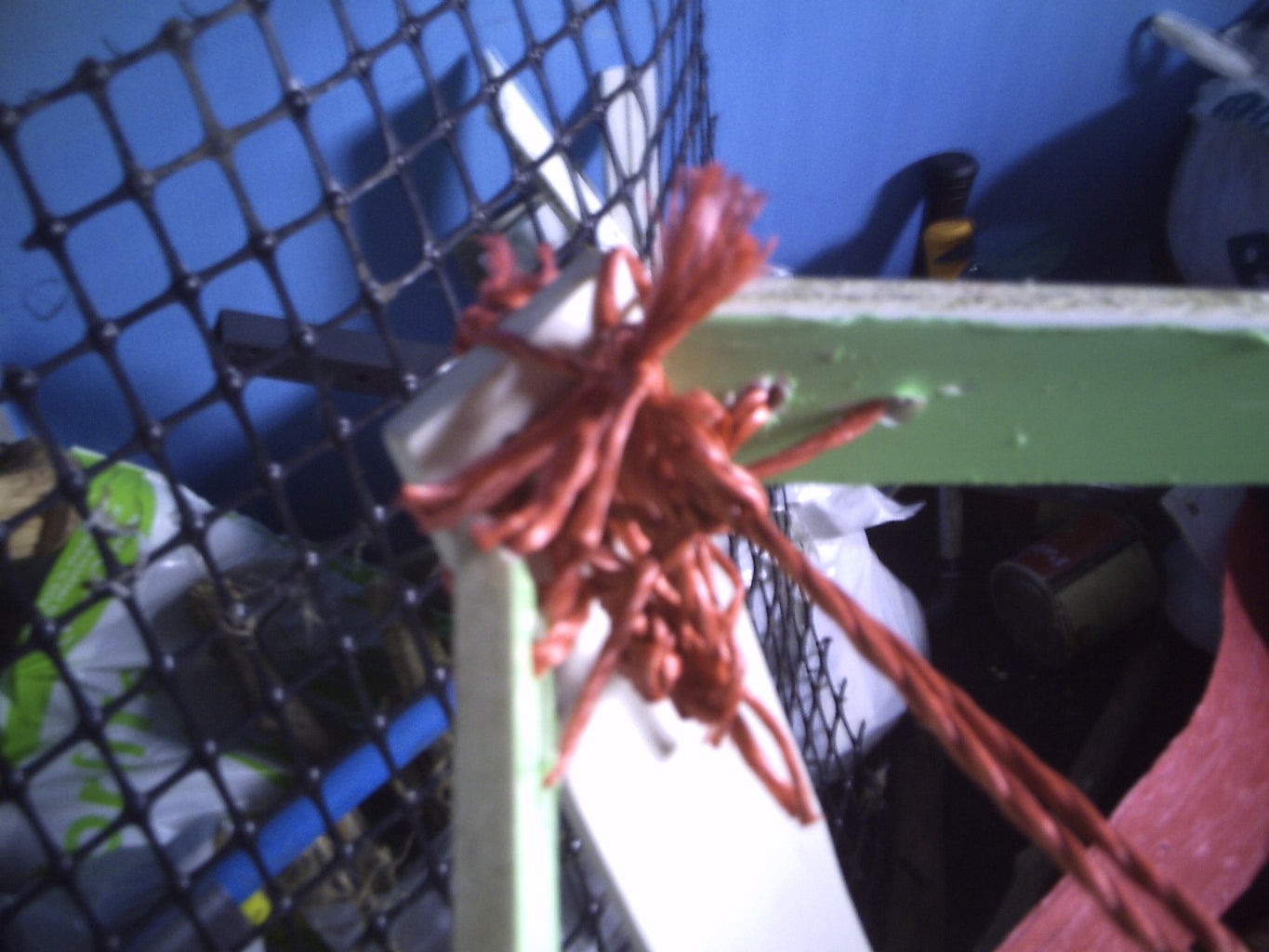 Build A Simple Bat Detector