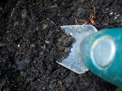 Dark Moist Dirt Into Soil
