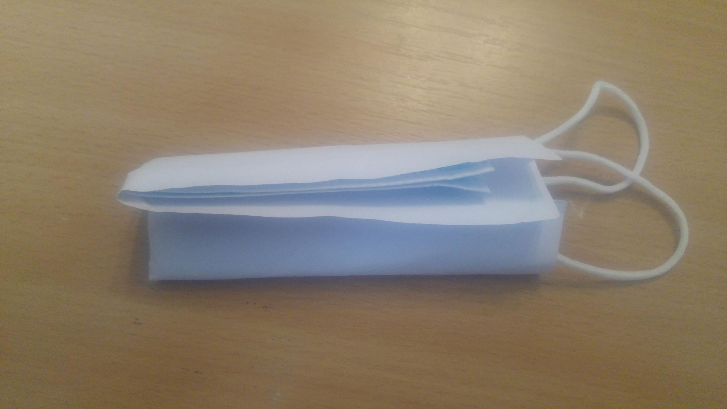 Simple Face Mask Carry Case 4 Steps Instructables