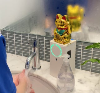 Paws to Wash - Cat Meets Covid Handwashing Project