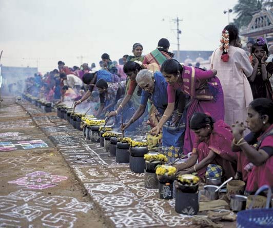 Pongal - Traditional Outdoor Cooking