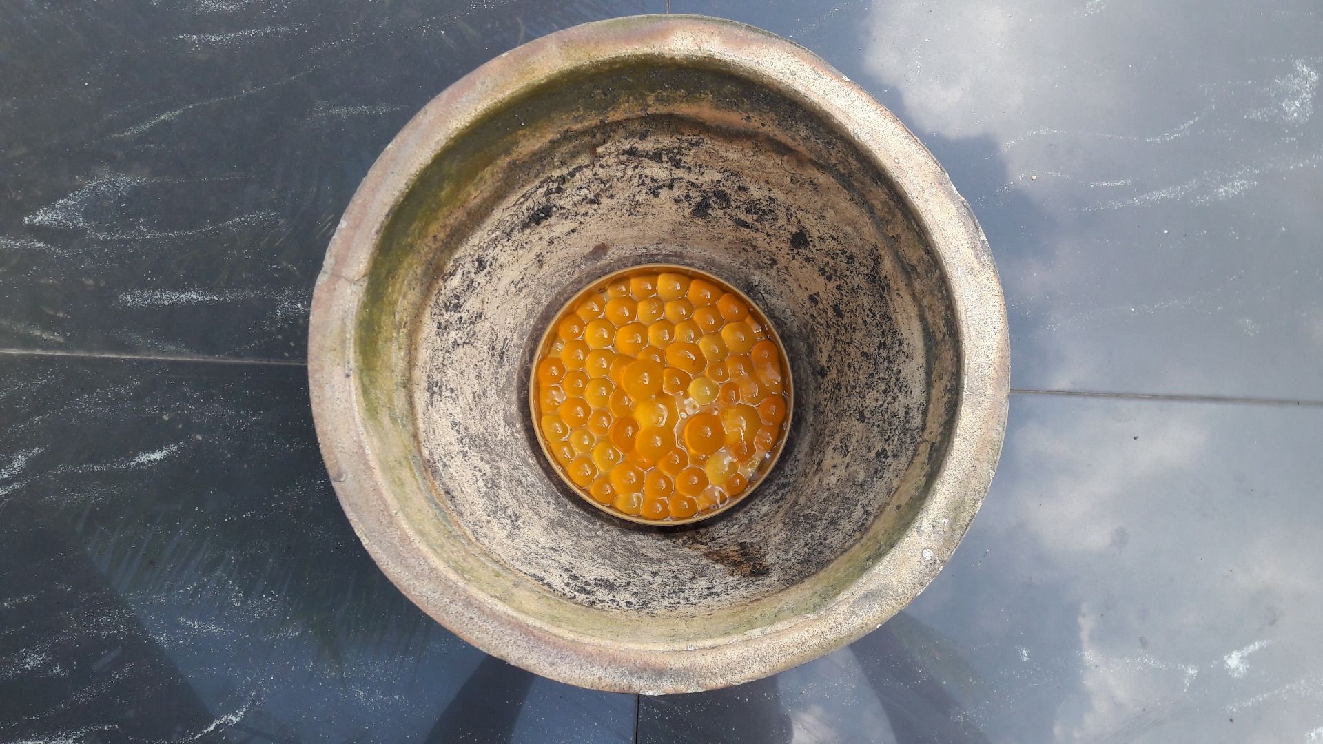 Subterranean Water Reservoir Planter 5 Steps (with Pictures