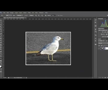 Photoshop CS6 - Create Rounded Corners in Photo