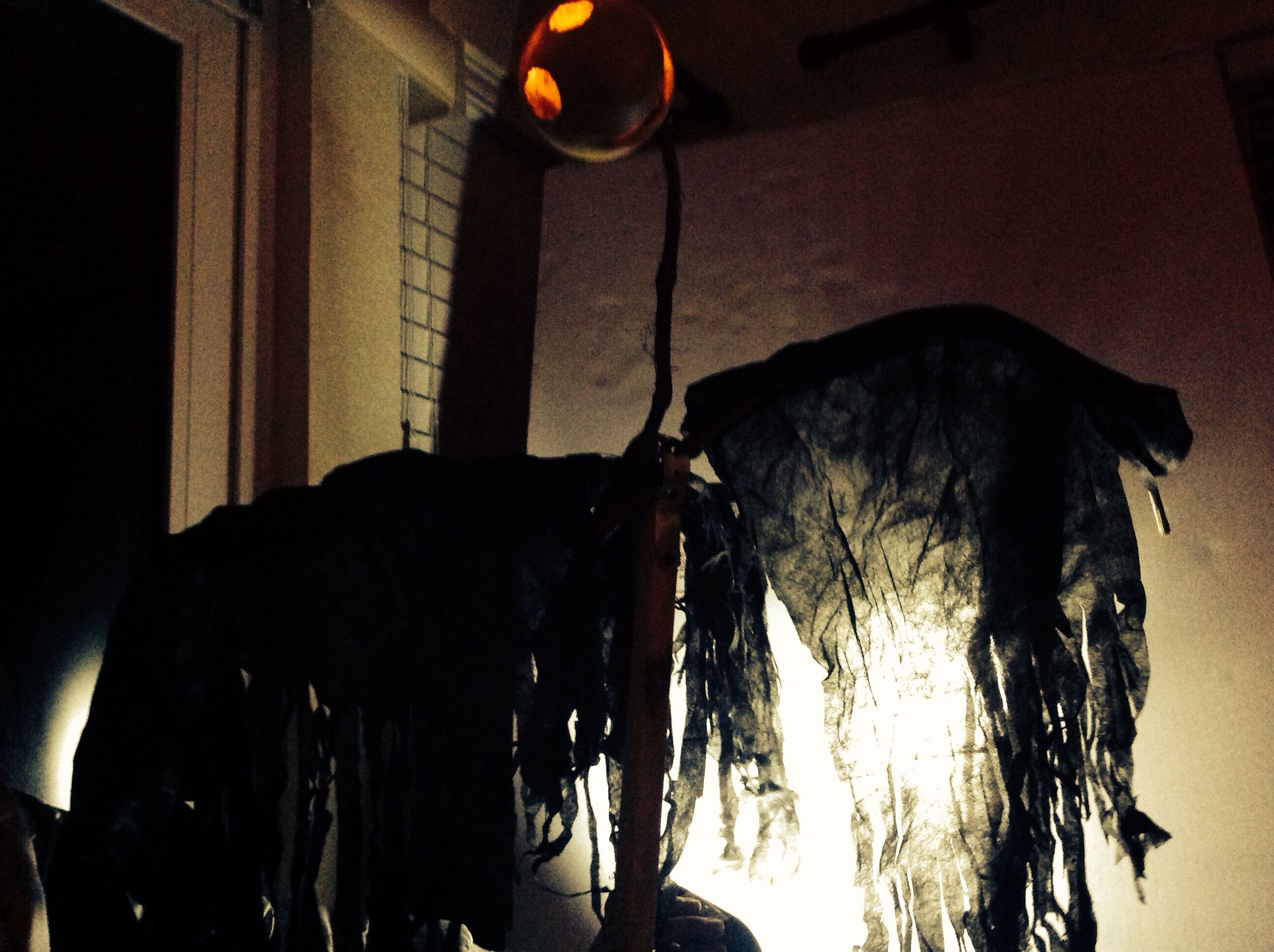 Pumpkin Pterodactyl Ghost Bird