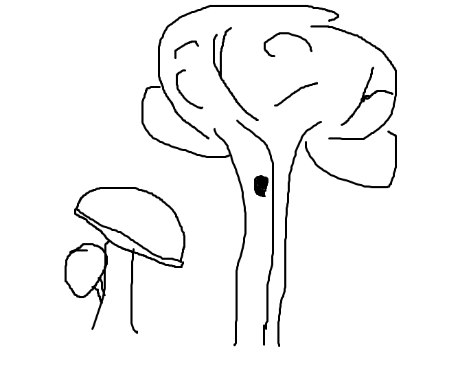 Arduino UNO, LCD 16x02 and Rotary Encoder Controlled Plant Environment