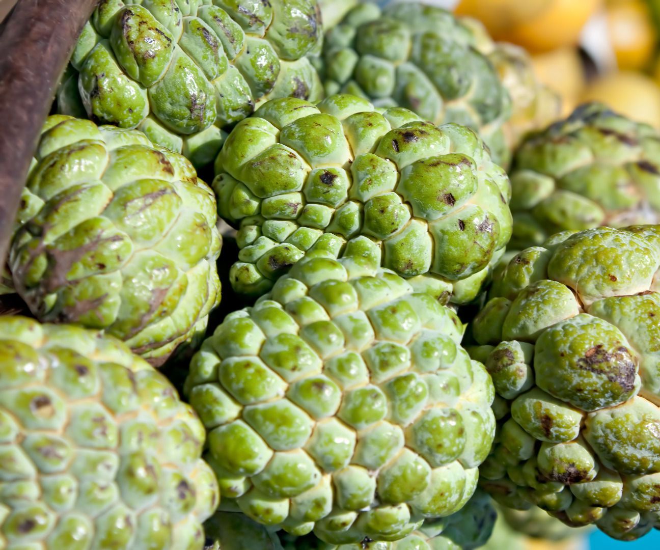 How to Make the Best of Custard Apple Fruit?