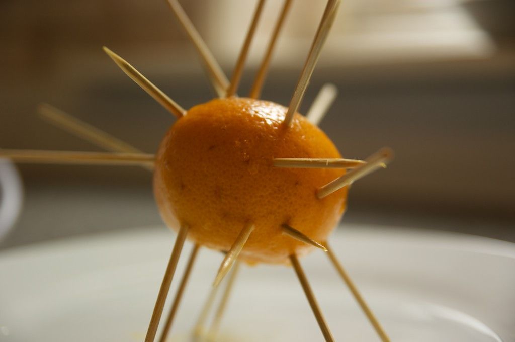 Clementyne Steamer - A hot orange drink