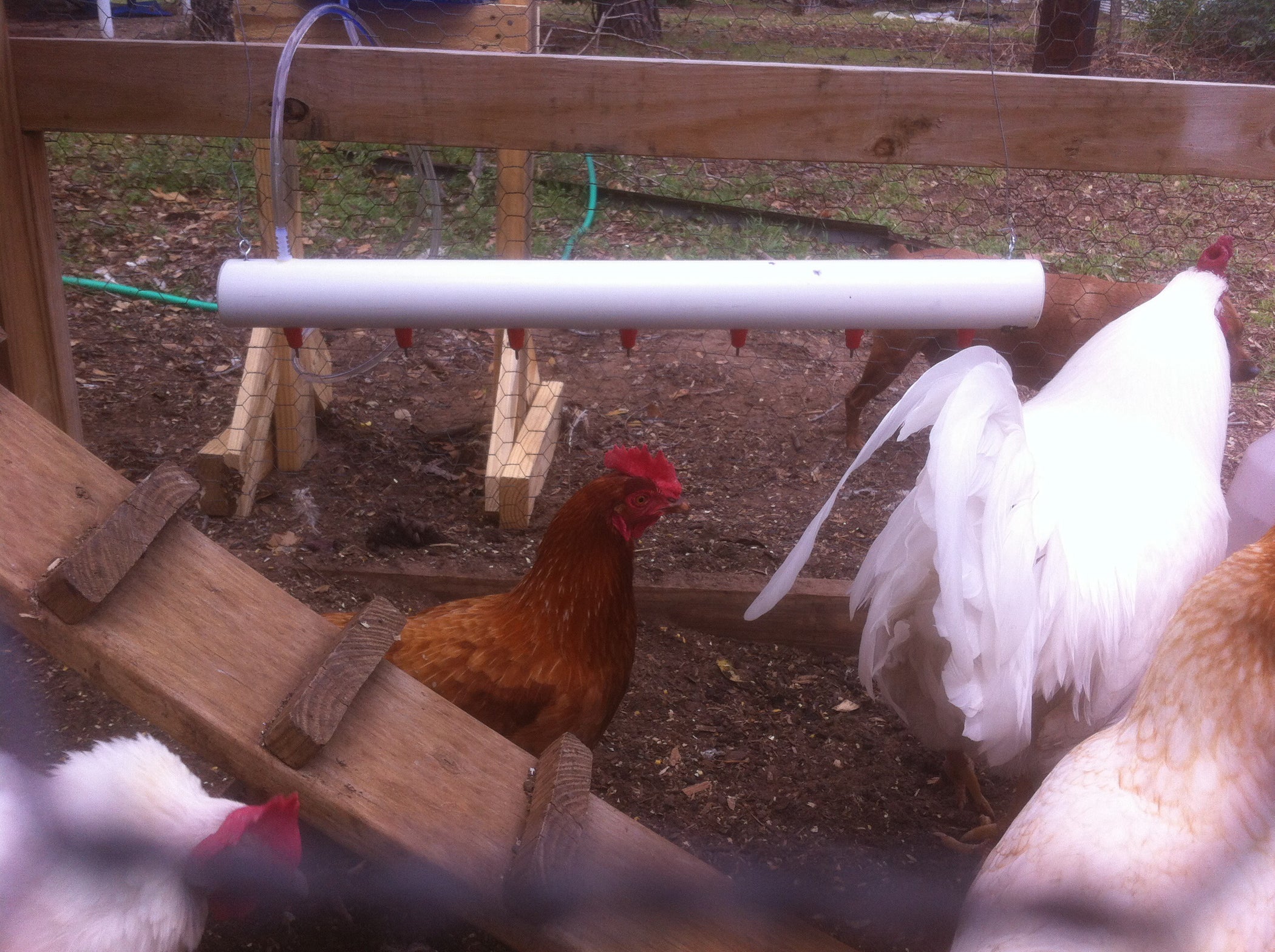 5 Gallon Chicken Waterer 3 Steps Instructables