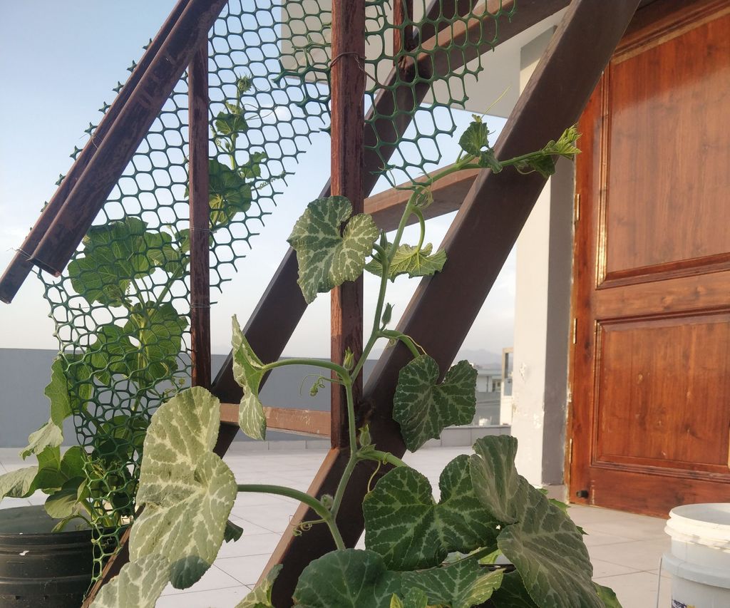 Making Climbers Climb 3 Steps Instructables