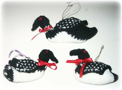Loonful Knits!