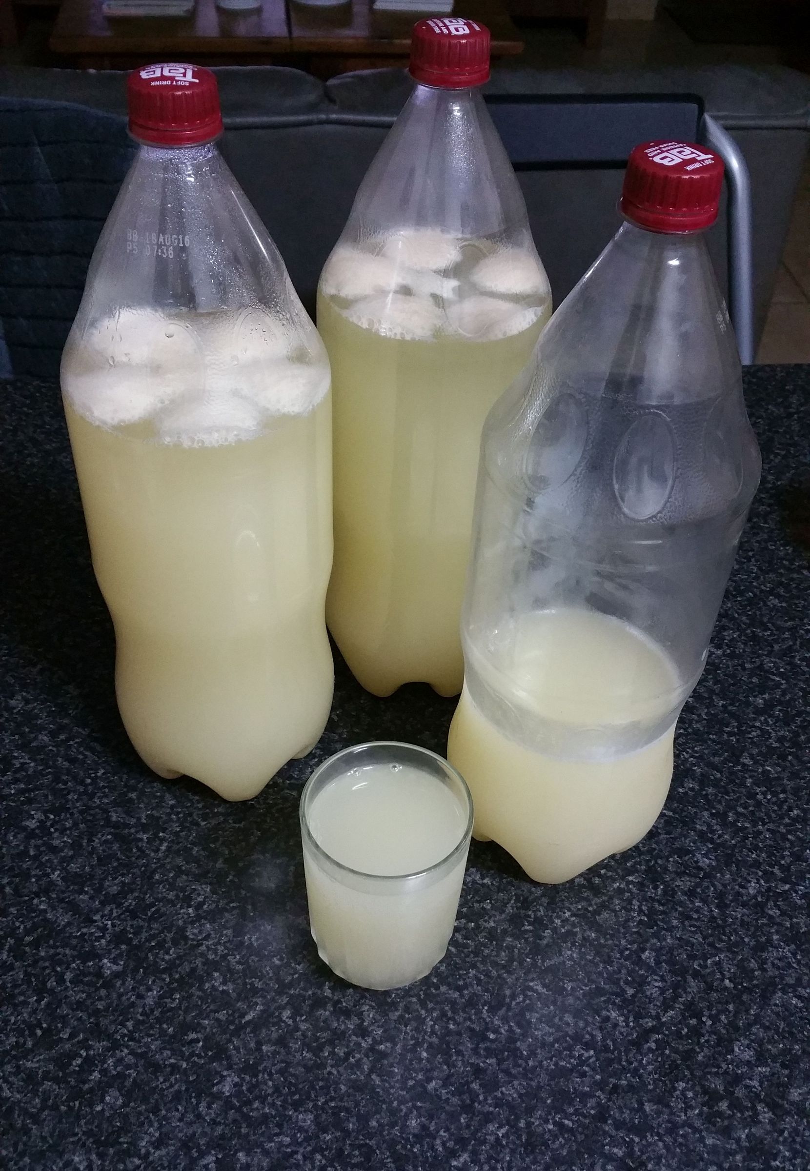 Let's Make Some Pineapple Beer!