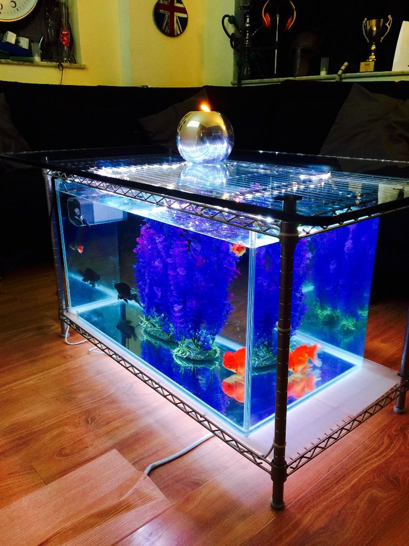 kitchen table fish tank