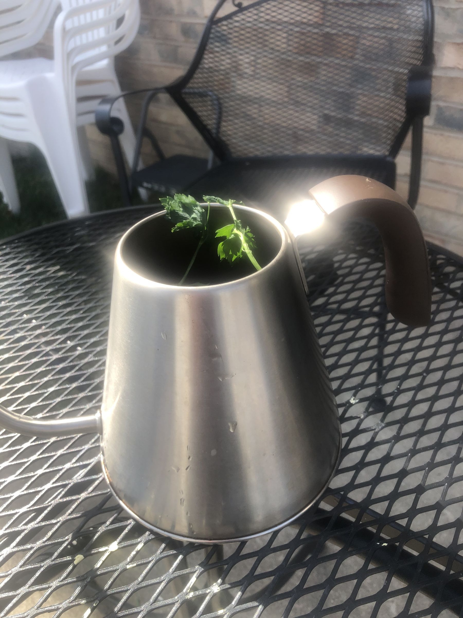 Upcycle Teapot Garden 5 Steps Instructables